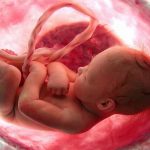 هیچ شواهد علمی در تعیین جنسیت جنین با رژیم غذایی وجود ندارد