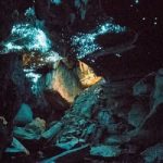 خیره کننده ترین غار جهان، غار کرم های شب تاب وایتومو
