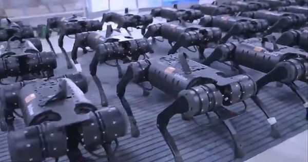 (فناوری) ترس بسیاری از افراد با دیدن حرکت گروهی رباتها (فناوری) ترس بسیاری از افراد با دیدن حرکت گروهی رباتها