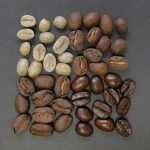 انواع رست قهوه چیست؟ رست های مدیوم، لایت و دارک چه ویژگی هایی دارند؟