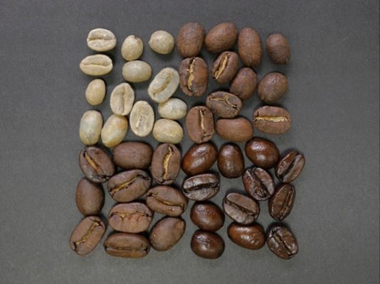 انواع رست قهوه چیست؟ رست های مدیوم، لایت و دارک چه ویژگی هایی دارند؟