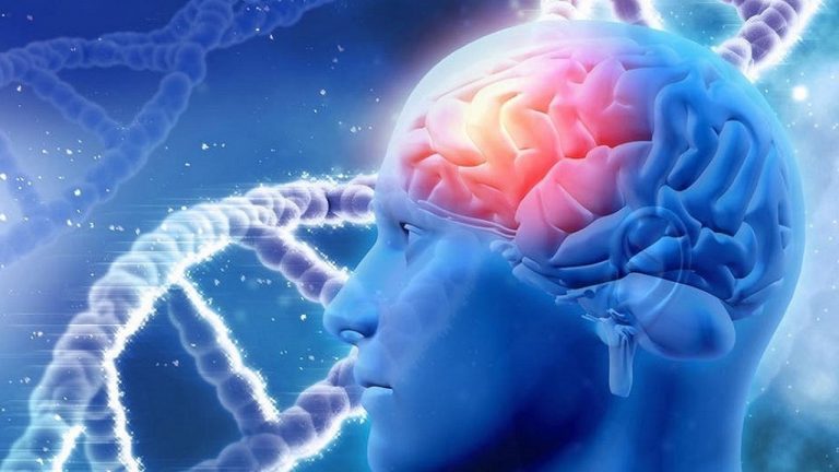 تاثیر احتمالی استرس مزمن در ابتلا به آلزایمر تاثیر احتمالی استرس مزمن در ابتلا به آلزایمر