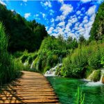 القای حس تازگی و سرزندگی به محیط منزل با پوستر طبیعت القای حس تازگی و سرزندگی به محیط منزل با پوستر طبیعت