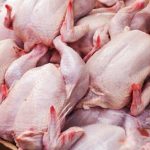 جمعه ها هم مرغ به میادین میوه و تره بار می آید جمعه ها هم مرغ به میادین میوه و تره بار می آید