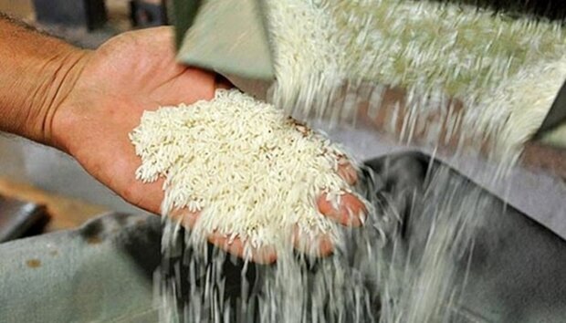 قصد نداریم جای بخش خصوصی را در بازار برنج بگیریم