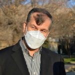 ۴۰ درصد باغات خرمای کشور فرسوده است/ لزوم نوسازی نخیلات ۴۰ درصد باغات خرمای کشور فرسوده است/ لزوم نوسازی نخیلات