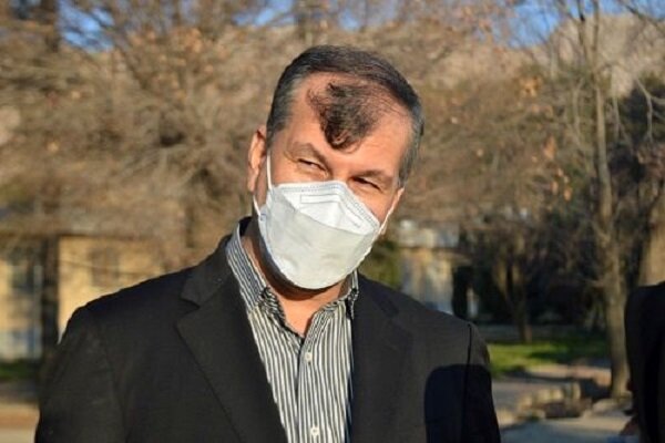 ۴۰ درصد باغات خرمای کشور فرسوده است/ لزوم نوسازی نخیلات ۴۰ درصد باغات خرمای کشور فرسوده است/ لزوم نوسازی نخیلات
