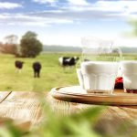 خرید و فروش عمده لبنیات با سایت سندبادسل خرید و فروش عمده لبنیات با سایت سندبادسل