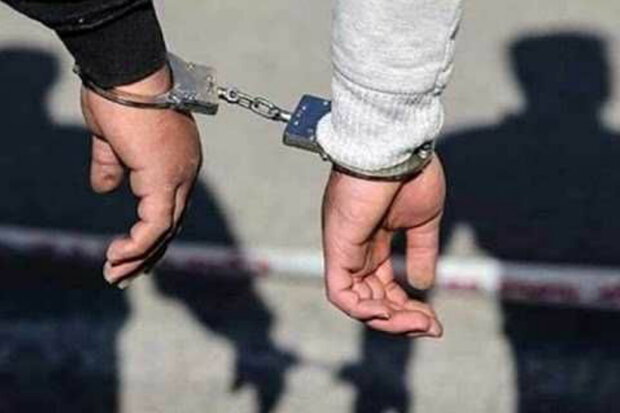 زن جیب بر دستگیر شد/بازداشت فروشنده مسلح
