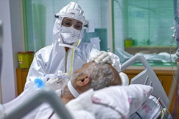 تعداد بیماران دارای وضعیت حاد کرونایی در بوشهر به ۱۵ نفر رسید