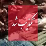 تکذیب واردات گوشت حرام/ مردم گوشت را تنها با آرم دامپزشکی بخرند تکذیب واردات گوشت حرام/ مردم گوشت را تنها با آرم دامپزشکی بخرند