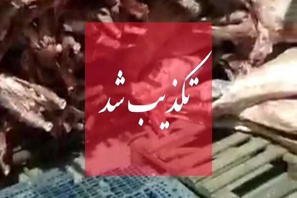 تکذیب واردات گوشت حرام/ مردم گوشت را تنها با آرم دامپزشکی بخرند