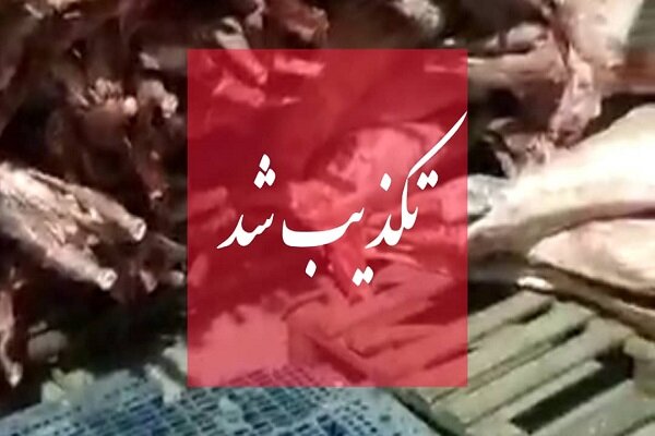 تکذیب واردات گوشت حرام/ مردم گوشت را تنها با آرم دامپزشکی بخرند تکذیب واردات گوشت حرام/ مردم گوشت را تنها با آرم دامپزشکی بخرند