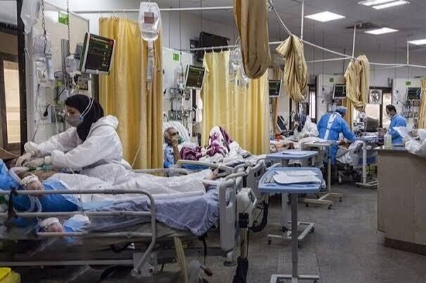 تعداد بیماران بستری در بخش‌های کرونایی استان بوشهر به ۷۴ نفر رسید