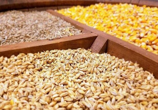 جزئیات وام ۲۰ هزار میلیارد تومانی دولت به مرغداران و دامداران جزئیات وام ۲۰ هزار میلیارد تومانی دولت به مرغداران و دامداران