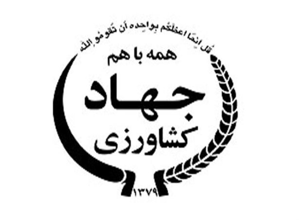 آزمون استخدامی وزارت جهاد پایان تیرماه برگزار میشود آزمون استخدامی وزارت جهاد پایان تیرماه برگزار میشود