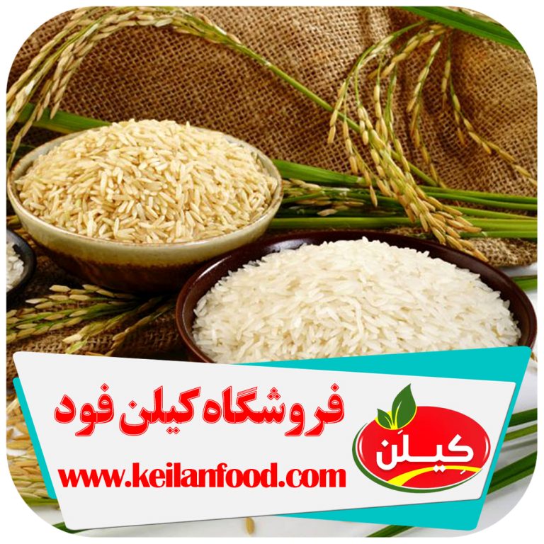 خرید برنج درجه یک شمال با ارزان ‌ترین قیمت از فروشگاه برنج کیلن