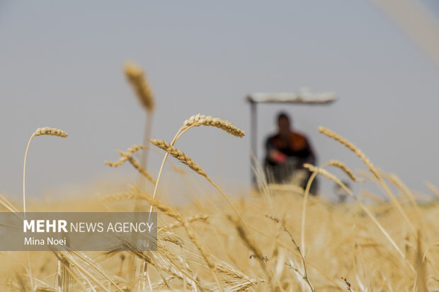 پرونده مطالبات گندمکاران بسته شد