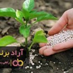 خرید کود شیمیایی اوره گرانول خرید کود شیمیایی اوره گرانول