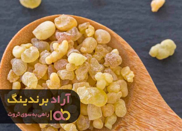 خرید آدامس سقز کوهی طبیعی خرید آدامس سقز کوهی طبیعی
