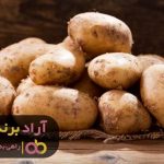با این روش ها از شکست واهمه ای نداشته باشید با این روش ها از شکست واهمه ای نداشته باشید