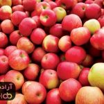 پیمودن راه صدساله در یک شب پیمودن راه صدساله در یک شب