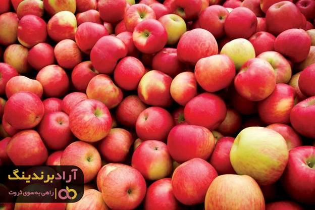 پیمودن راه صدساله در یک شب پیمودن راه صدساله در یک شب