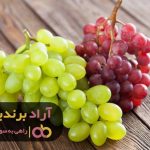 داشتن هدف راز موفقیت و خوشبختی است داشتن هدف راز موفقیت و خوشبختی است