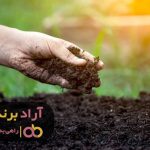 تنها یک اشتباه وجود دارد تا ثروتمند نشوید تنها یک اشتباه وجود دارد تا ثروتمند نشوید