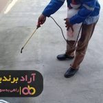 نقش مهم پول در زندگی افراد مختلف چیست نقش مهم پول در زندگی افراد مختلف چیست