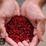 قیمت زرشک خشک کوهی قیمت زرشک خشک کوهی