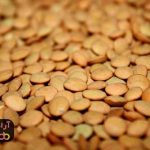 رسیدن به موفقیت و پول، شادی و نشاط را به همراه دارد رسیدن به موفقیت و پول، شادی و نشاط را به همراه دارد