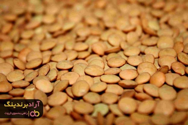 دستیابی به موفقیت و پول باعث شادی و نشاط می شود دستیابی به موفقیت و پول باعث شادی و نشاط می شود