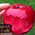 با استفاده از فرصت های کوچک میلیاردر شدم با استفاده از فرصت های کوچک میلیاردر شدم