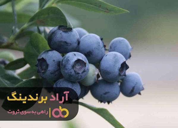 از افکار فقیرانه رهایی پیدا کنید تا ثروتمند شوید از افکار فقیرانه رهایی پیدا کنید تا ثروتمند شوید