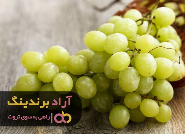چگونه در عرض دو سال با انگور میلیونر شدم چگونه در عرض دو سال با انگور میلیونر شدم