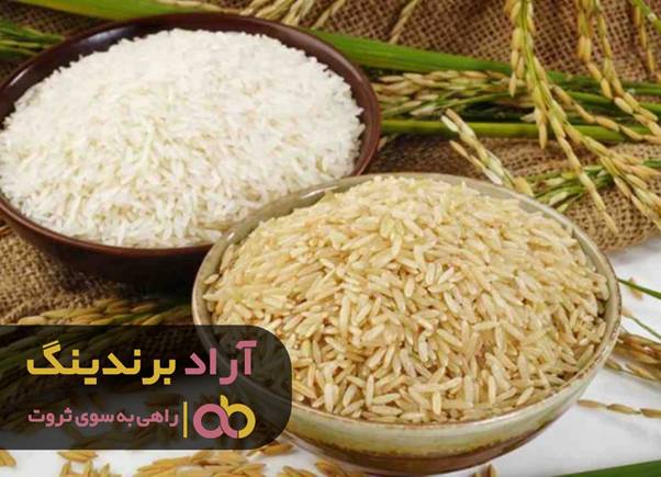 انواع روش های کارآفرینی و آغاز کسب و کار شخصی انواع روش های کارآفرینی و آغاز کسب و کار شخصی