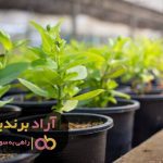 مسیرهای مختلف موفقیت را با آموزش صحیح طی کنید مسیرهای مختلف موفقیت را با آموزش صحیح طی کنید