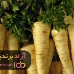 خلق ایده جدید با عملگرا بودنحاصل می گردد خلق ایده جدید با عملگرا بودنحاصل می گردد