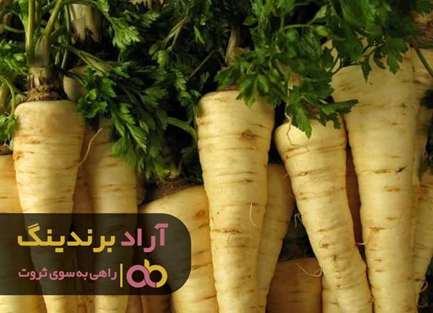 خلق ایده جدید با عملگرا بودنحاصل می گردد خلق ایده جدید با عملگرا بودنحاصل می گردد