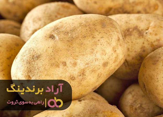 با پرشور بودن می توان به راحتی به موفقیت رسید با پرشور بودن می توان به راحتی به موفقیت رسید