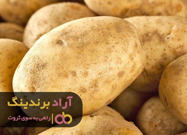 با پرشور بودن می توان به راحتی به موفقیت رسید