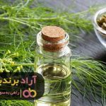 شکست خوردم ولی قوی تر پاشدم ادامه دادم شکست خوردم ولی قوی تر پاشدم ادامه دادم