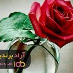 مقصد محصولاتتان را بیابید تا موفقیتتان تضمین شود مقصد محصولاتتان را بیابید تا موفقیتتان تضمین شود