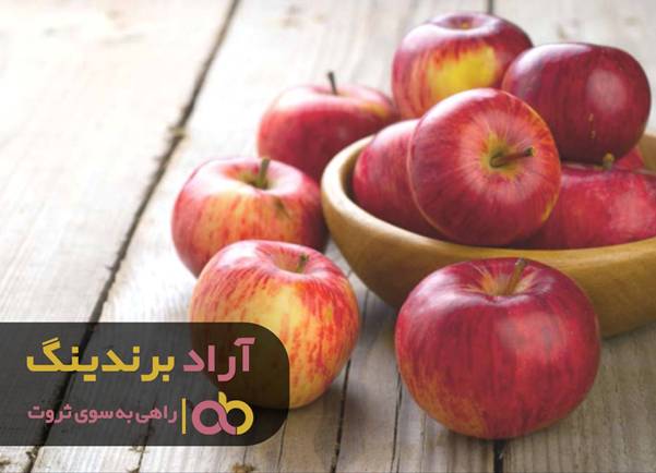 زمانی موفق شدم که ترس هایم را کنار گذاشتم image002 114 - زمانی موفق شدم که ترس هایم را کنار گذاشتم