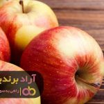 با فعالیت در حوزه ی سیب آینده ام را تضمین کردم با فعالیت در حوزه ی سیب آینده ام را تضمین کردم