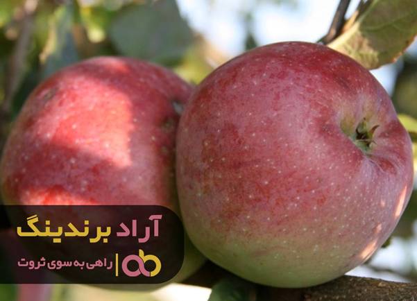 زمانی موفق شدم که ترس هایم را کنار گذاشتم image003 119 - زمانی موفق شدم که ترس هایم را کنار گذاشتم