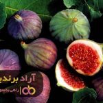 پیوند بین فقر و انجیر من را میلیاردر کرد پیوند بین فقر و انجیر من را میلیاردر کرد