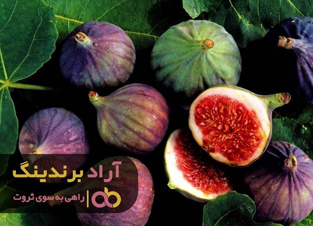 پیوند بین فقر و انجیر من را میلیاردر کرد پیوند بین فقر و انجیر من را میلیاردر کرد