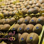 آرزوی کودکی ام مرا ثروتمند کرد آرزوی کودکی ام مرا ثروتمند کرد